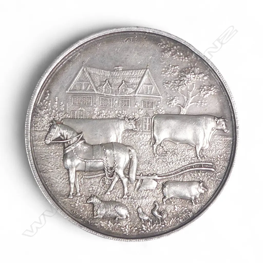 An1878 commemorative silver medal issued by the 'Tokomairiro Farmers Club', Image 1++