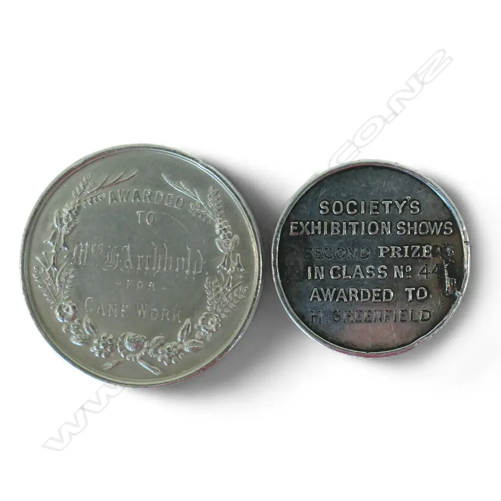 Two New Zealand historical medals, Image 1++
