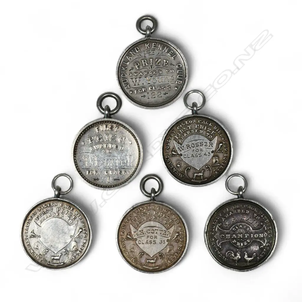 Six (five + one) Anton Teutenberg New Zealand assorted 'Auckland Kennel Club' and 'Poultry Pigeon Cage Bird & Dog Society' silver medals, Image 1++