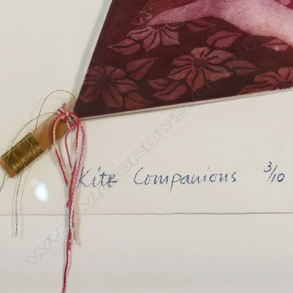 Carole Shepherd (NZ,1945-) 'Kite Companions', Image 1++