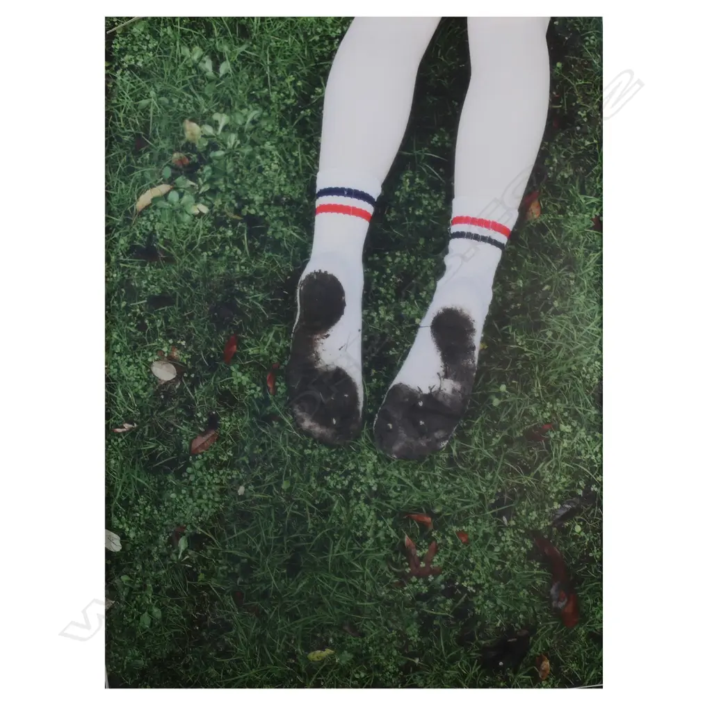 Harvey Benge (NZ 1944 - 2019) 'The Garden - Part 2', Image 1++