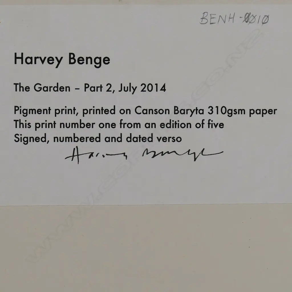 Harvey Benge (NZ 1944 - 2019) 'The Garden - Part 2', Image 1++