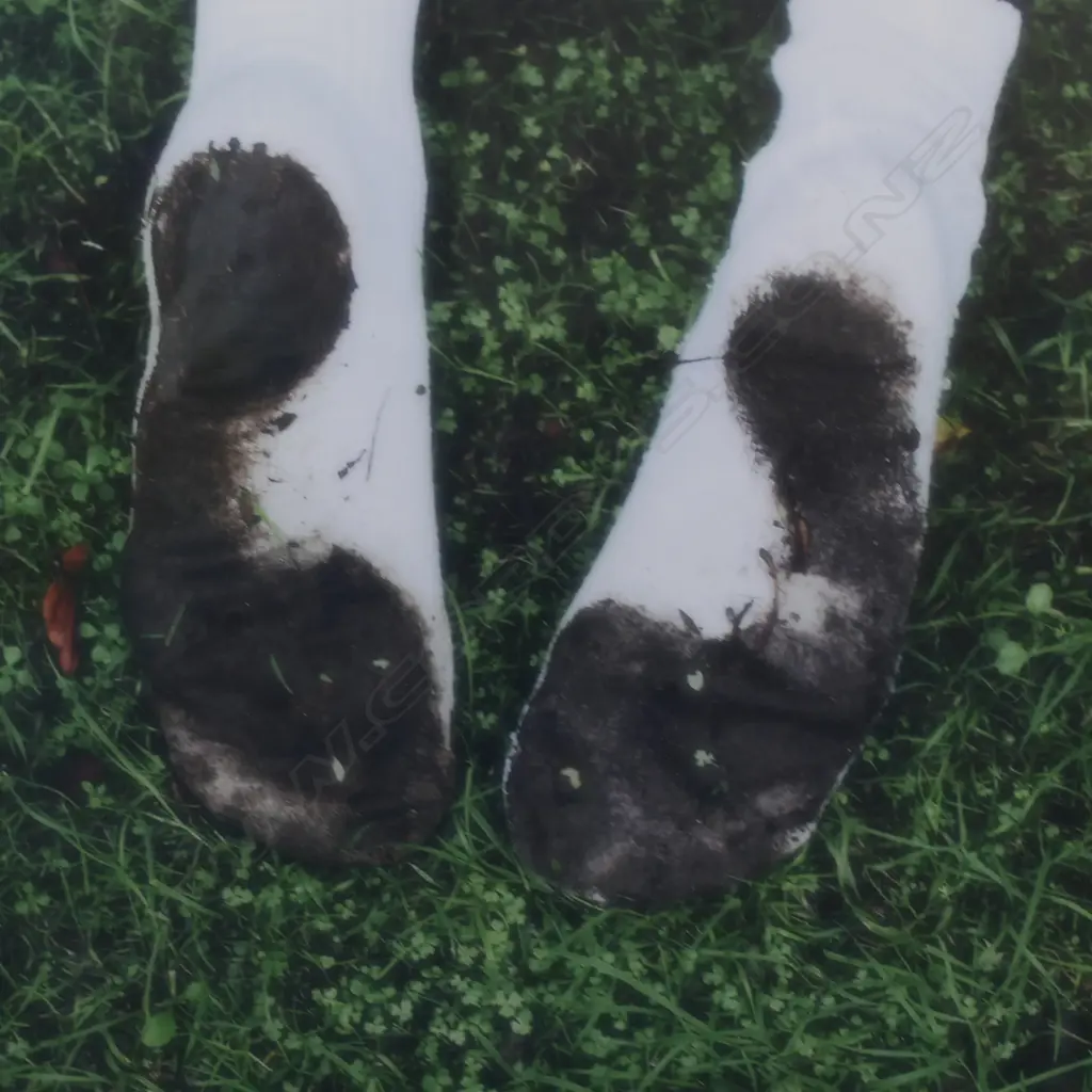 Harvey Benge (NZ 1944 - 2019) 'The Garden - Part 2', Image 1++