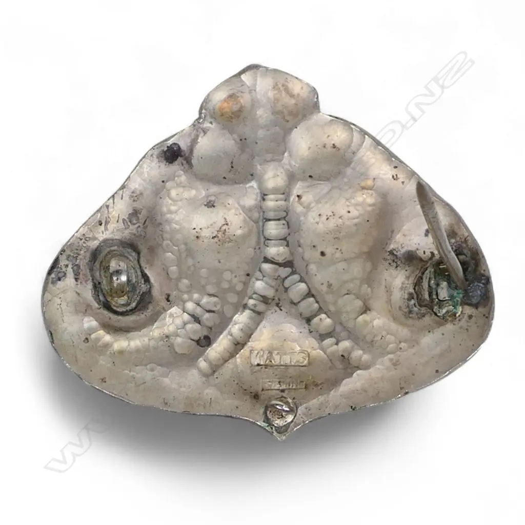 Reuben Watts (1869-1940) N.Z. Arts & Crafts silver and enamel brooch, Image 1++