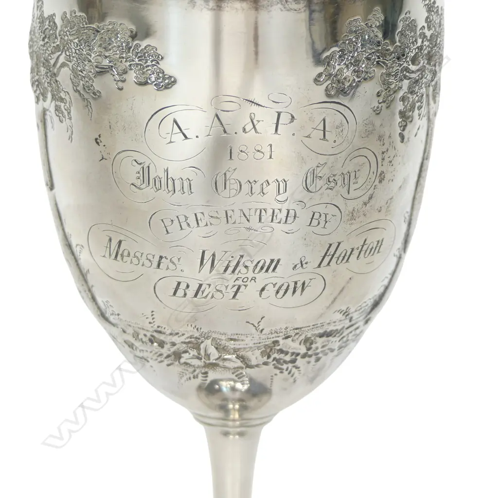 The New Zealand historic 'A.A. & P.A. 1881' silver trophy cup for Best Cow, presentation engraved, awarded to John Grey Esq. and presented by 'Messrs. Wilson & Horton'. Engraved and embossed with a cow. London 1879 by Richards & Brown (Edward Charles Brown). H.195mm. 208gms. Image 1++