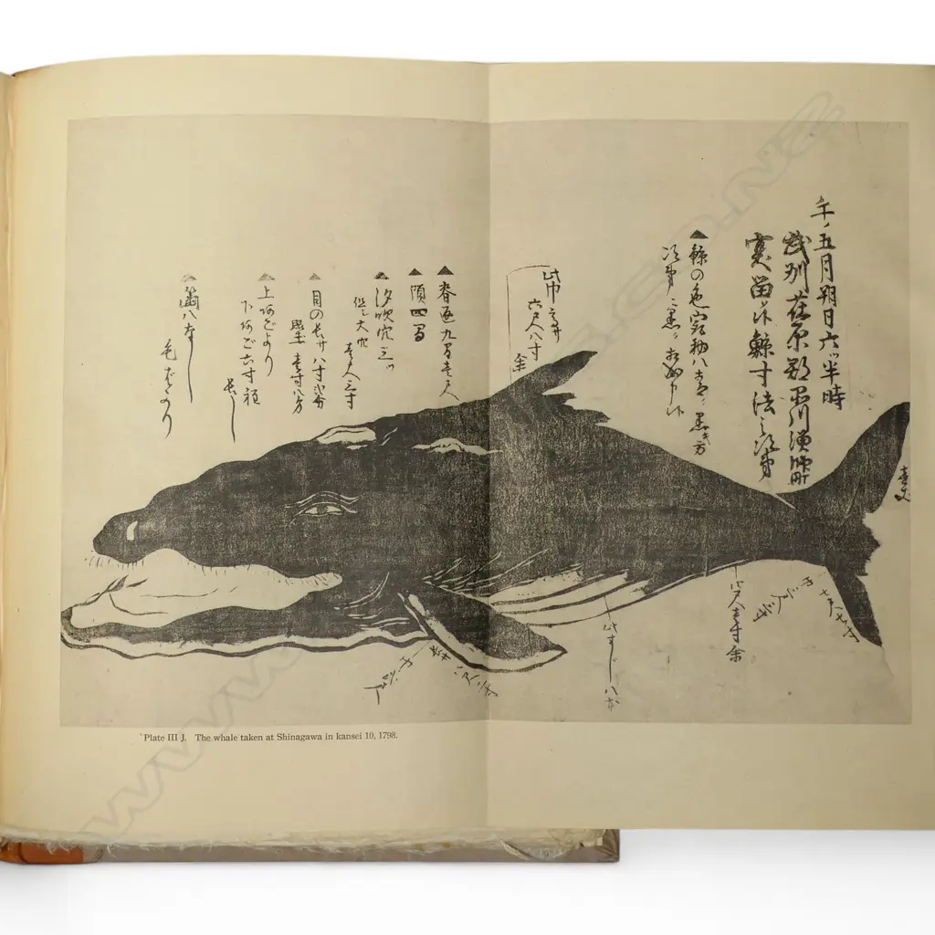 Frank Hawley 'Miscellanea Japonica II: Whales and Whaling in Japan' 1958-60, Image 1++
