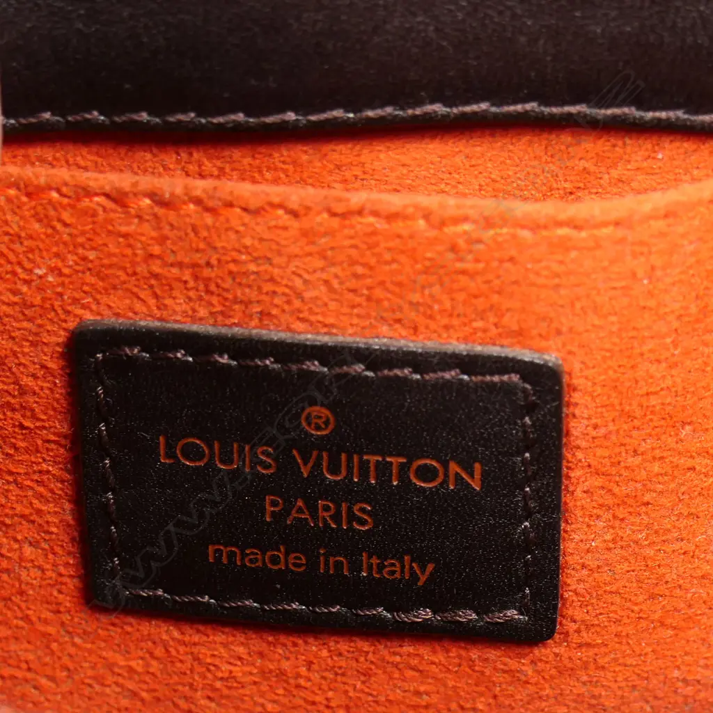 A Louis Vuitton small 'Damier Sauvage' handbag, Image 1++
