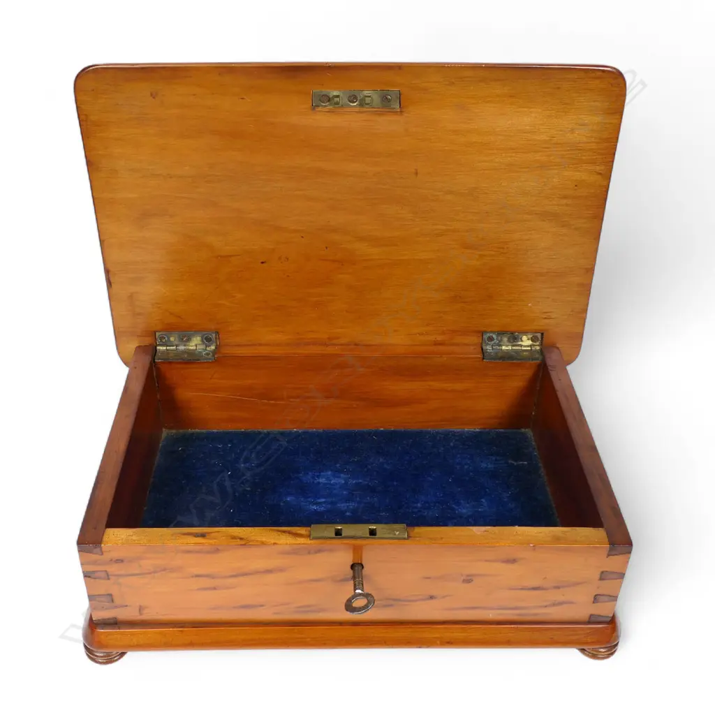 A colonial William Norrie mixed NZ woods box, Image 1++