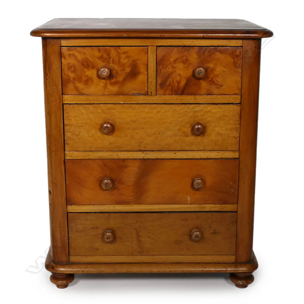 A colonial NZ woods apprentice chest, Image 1++