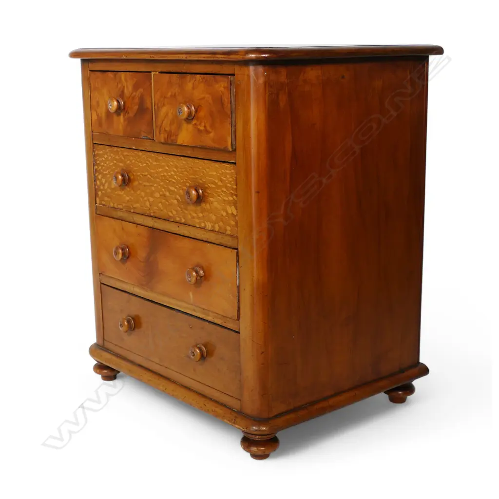 A colonial NZ woods apprentice chest, Image 1++