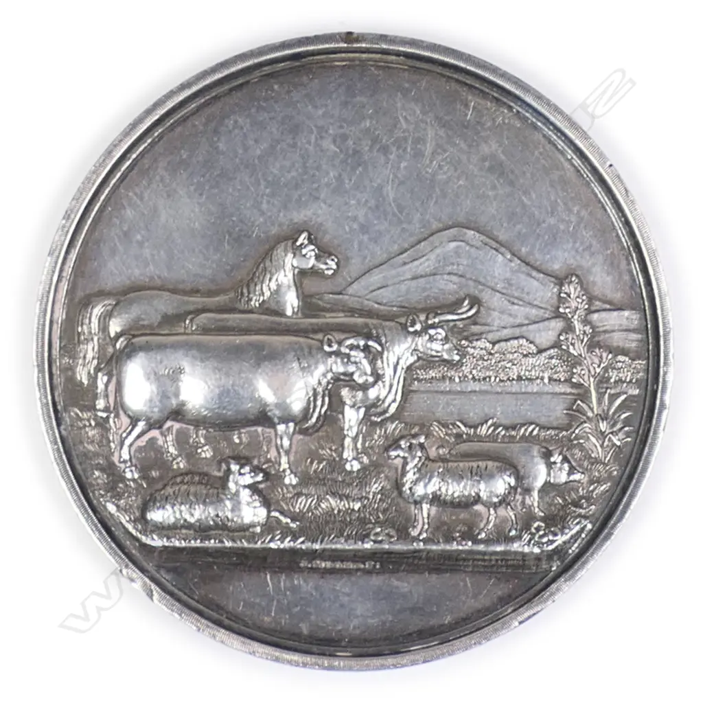 An '1869 NORTHERN AGRICULTURAL & PASTORAL ASSOCIATION OTAGO' medal, Image 1++