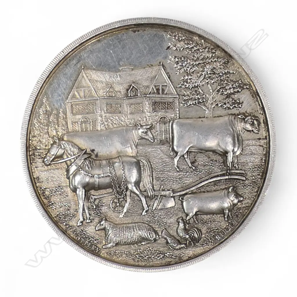 A rare 1886 Tokomairiro Farmers Club medal, Image 1++