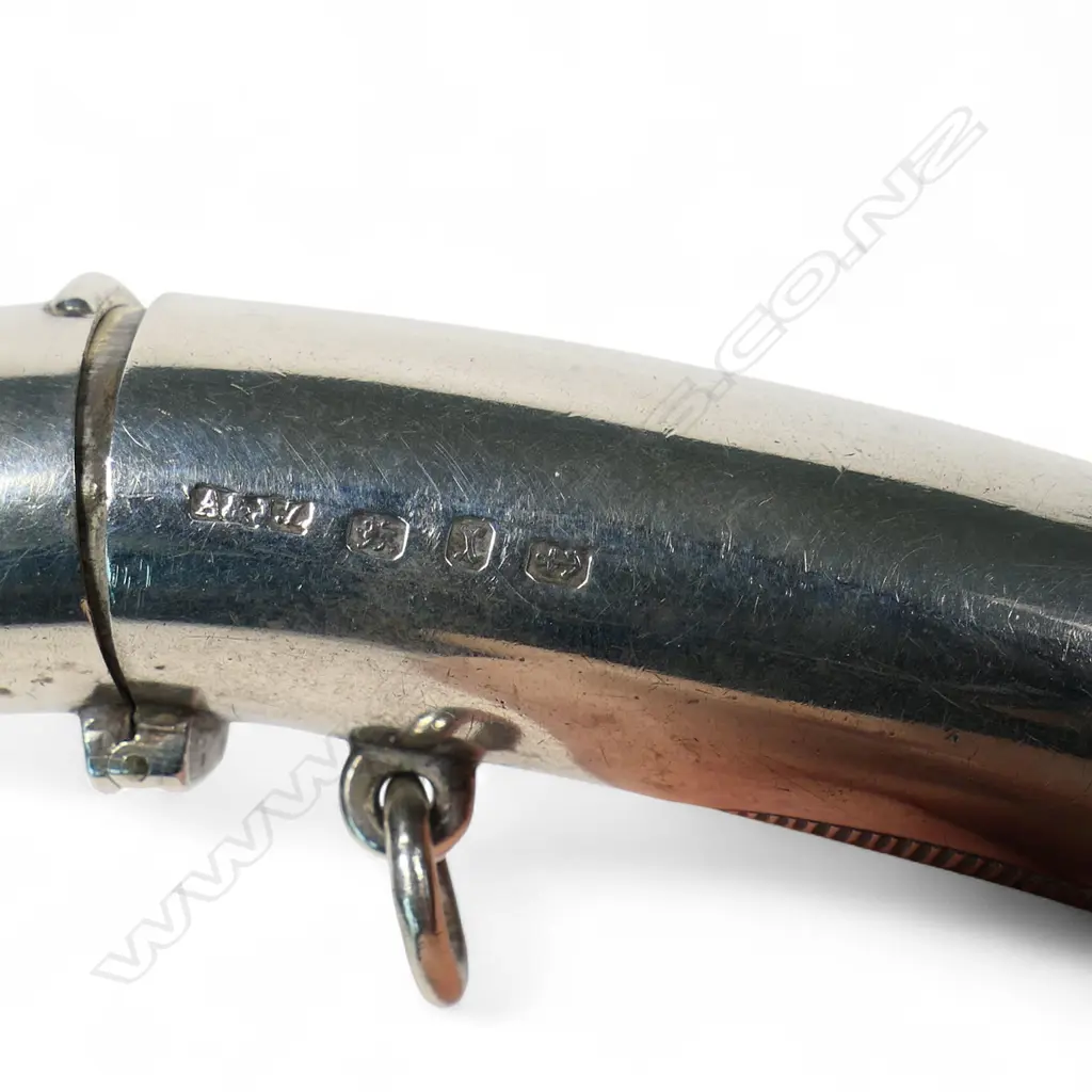 A rare late Victorian silver combination whistle-vesta case, Image 1++