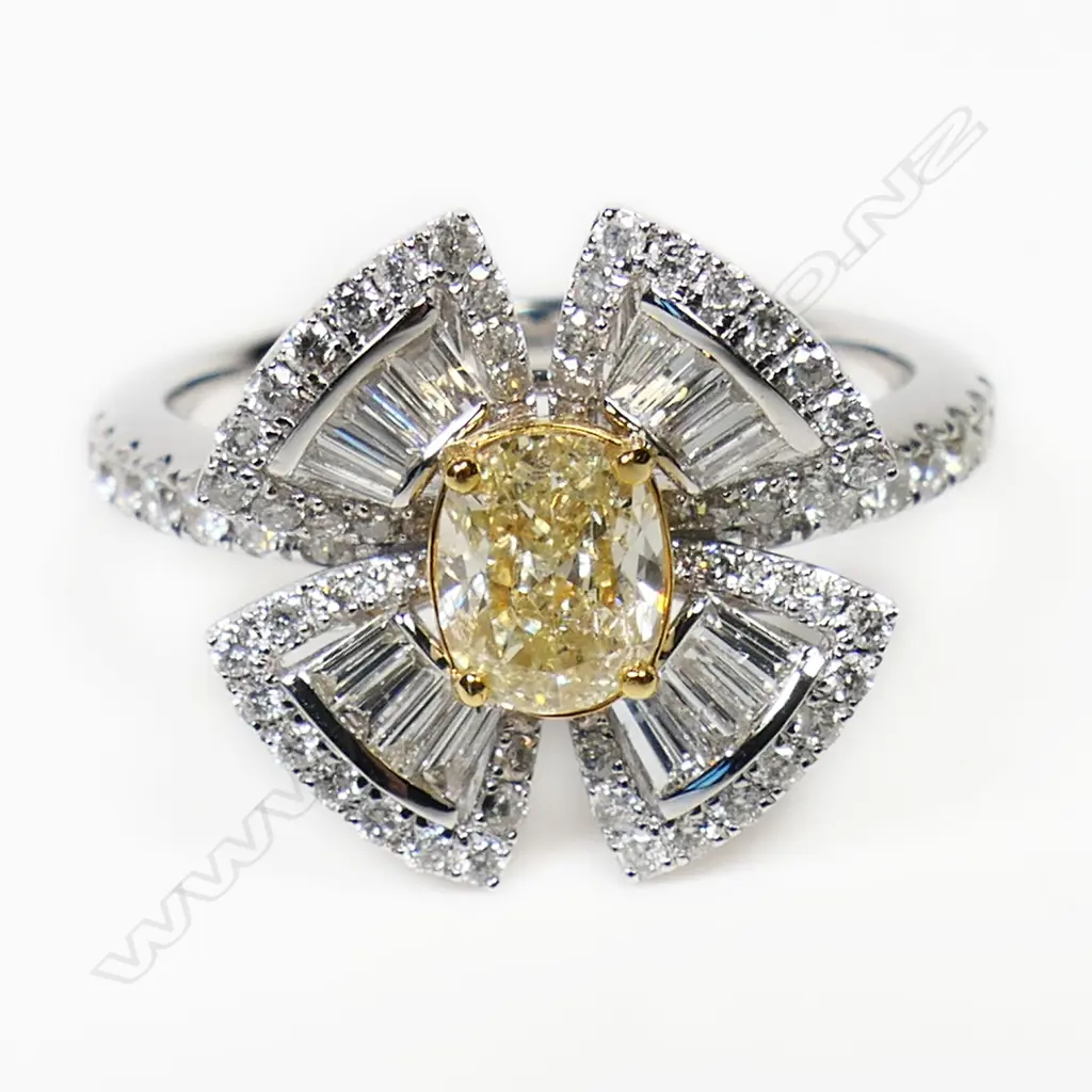 An 18ct white gold yellow and white diamond dress ring, Image 1++