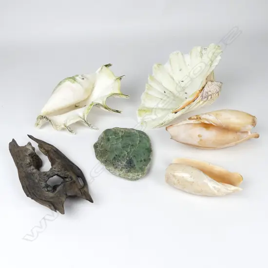 A piece of river worn pounamu