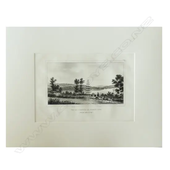 A lithograph from D'Urville's Voyage de L'Astrolabe