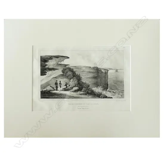 A lithograph from D'Urville's Voyage de L'Astrolabe