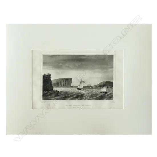 A lithograph from D'Urville's Voyage de L'Astrolabe