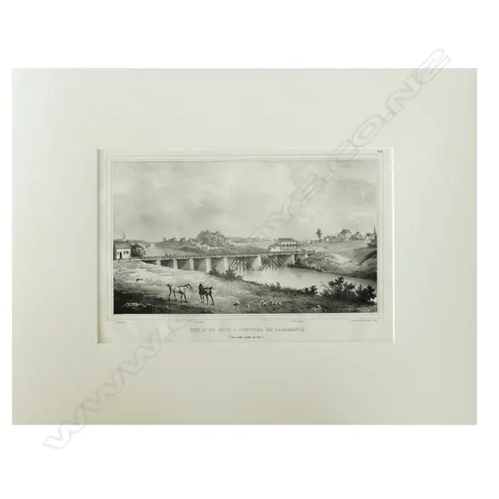 A lithograph from D'Urville's Voyage de L'Astrolabe