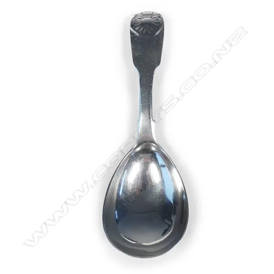 A George IV silver caddy spoon