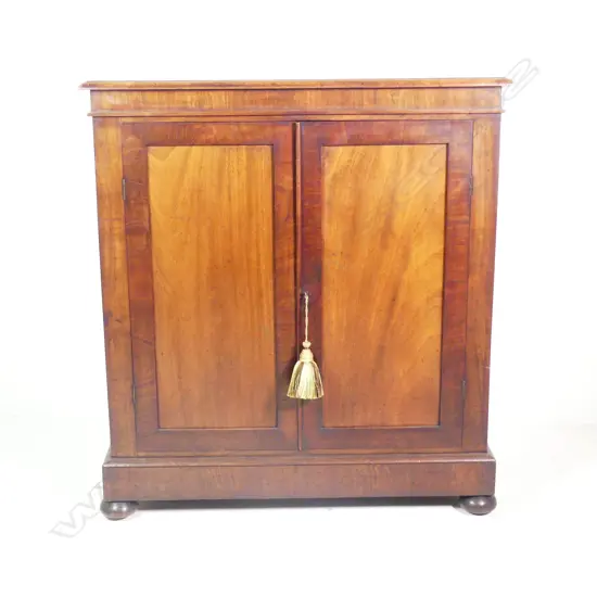A Victorian mahogany two-door cupboard