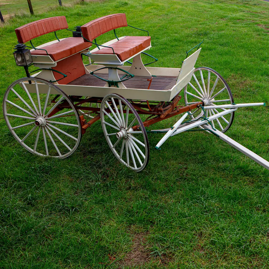 Adelaide Express - open double seat waggonette/buggy, Image 1++