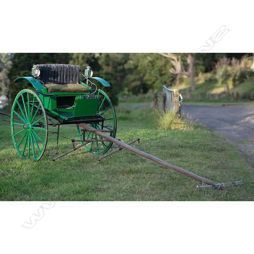 1900 Cape cart, Image 1++