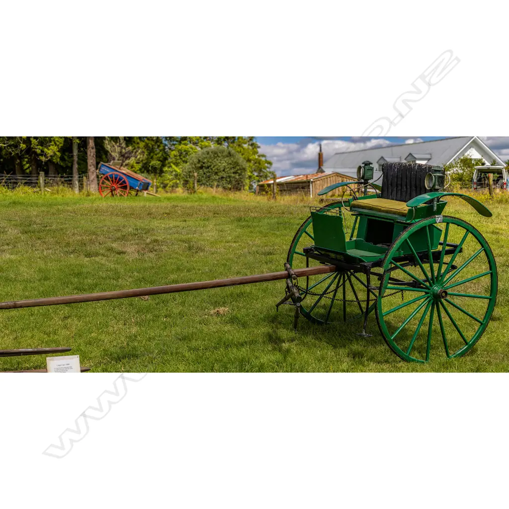 1900 Cape cart, Image 1++