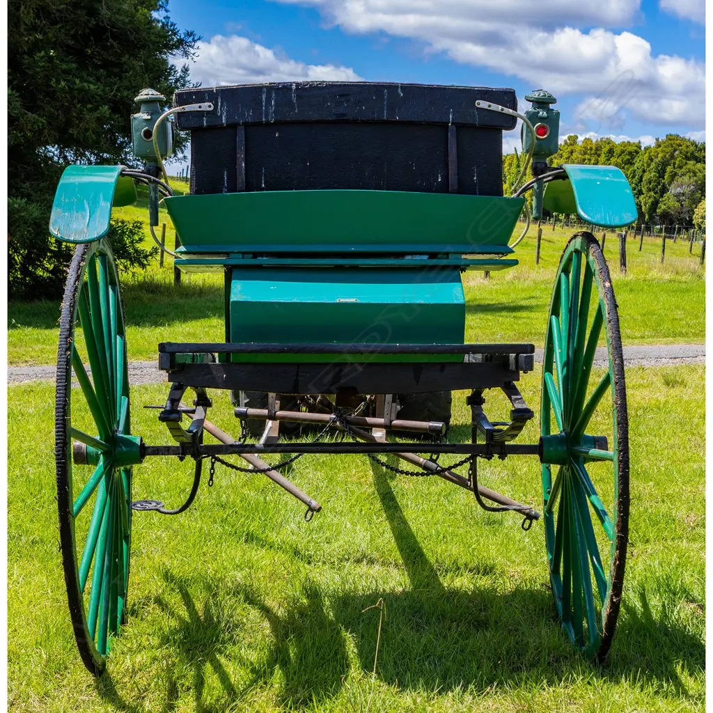 1900 Cape cart, Image 1++