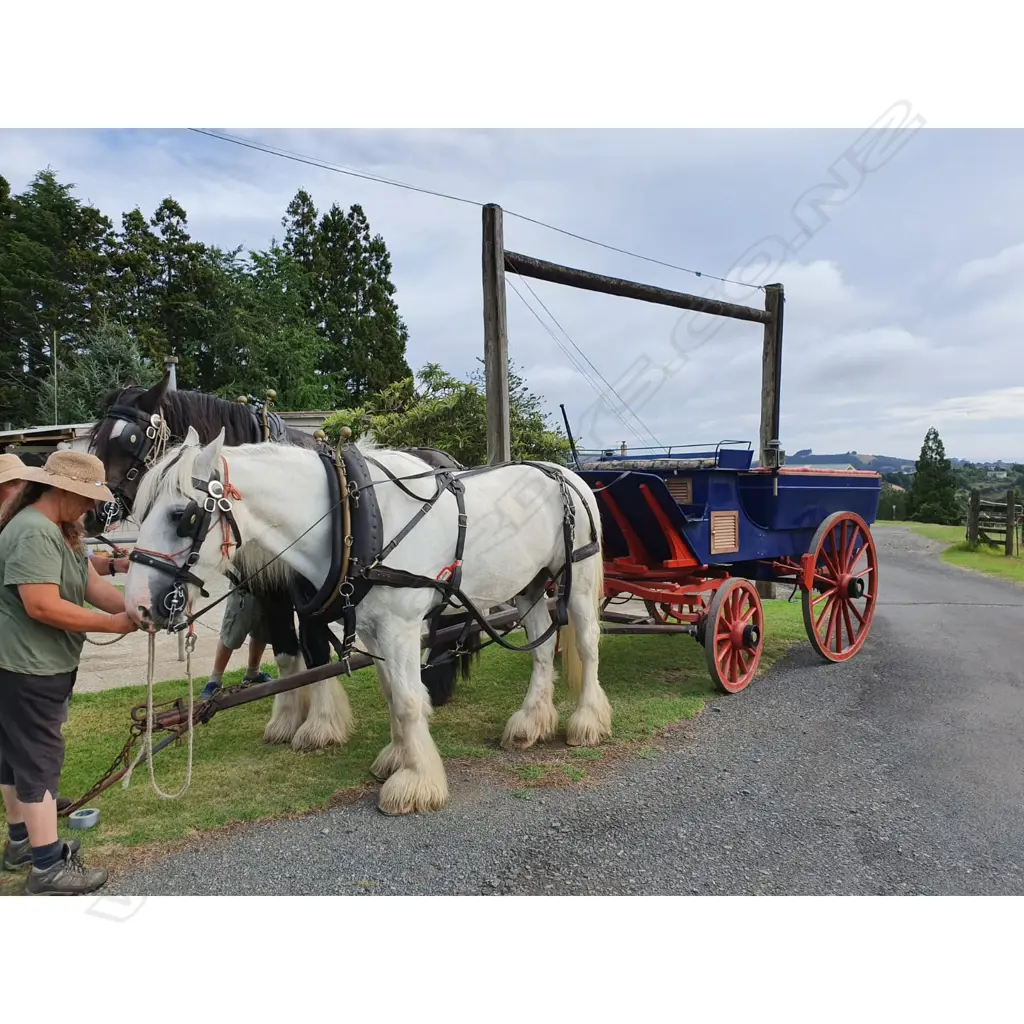Waggonette - four wheel open carriage, Image 1++