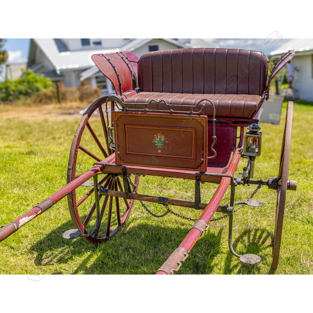 1890 Butterfly gig, Image 1++