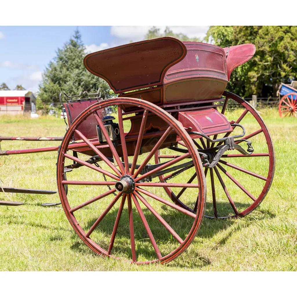 1890 Butterfly gig, Image 1++