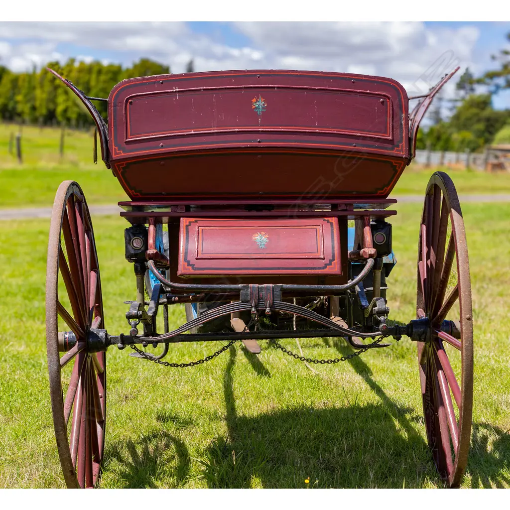1890 Butterfly gig, Image 1++