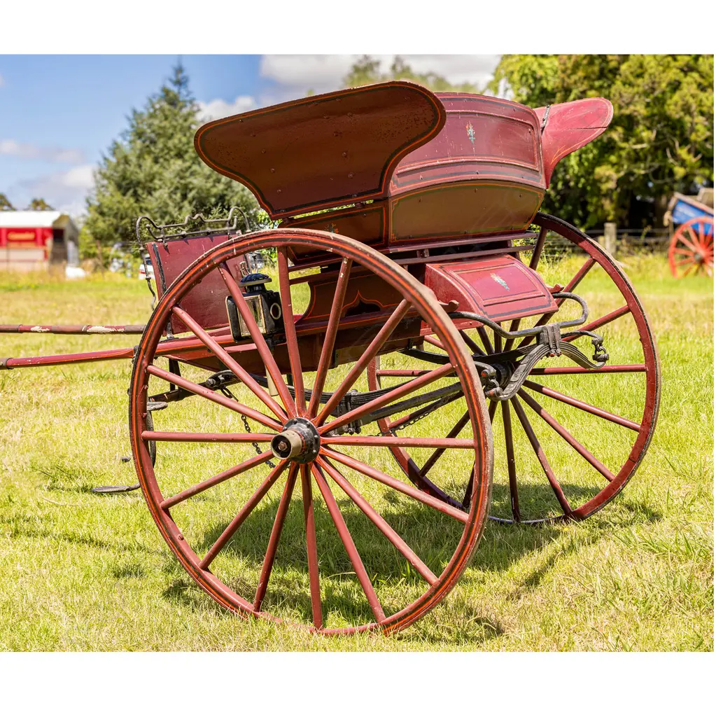 1890 Butterfly gig, Image 1++