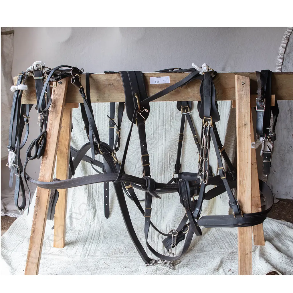 Two pairs leather Amish harness, Image 1++