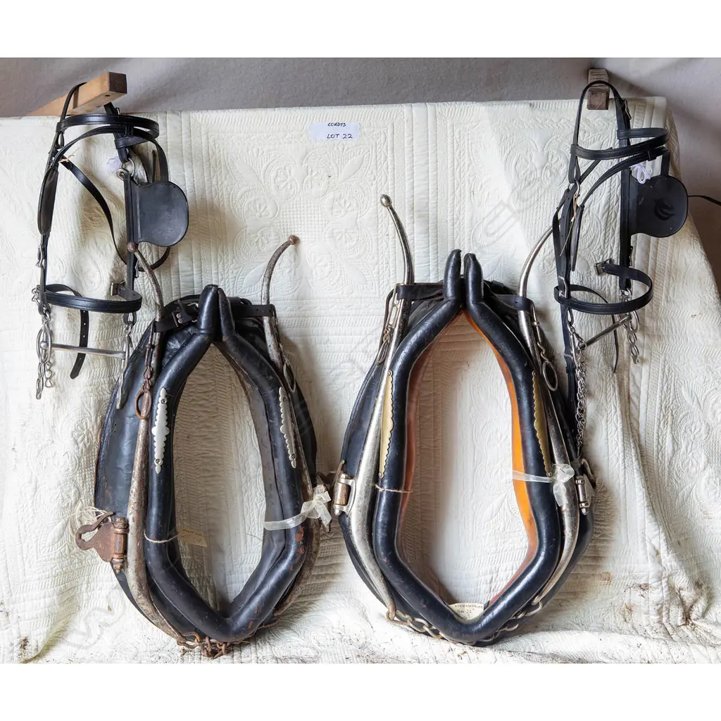 Two pairs synthetic Amish harness, Image 1++