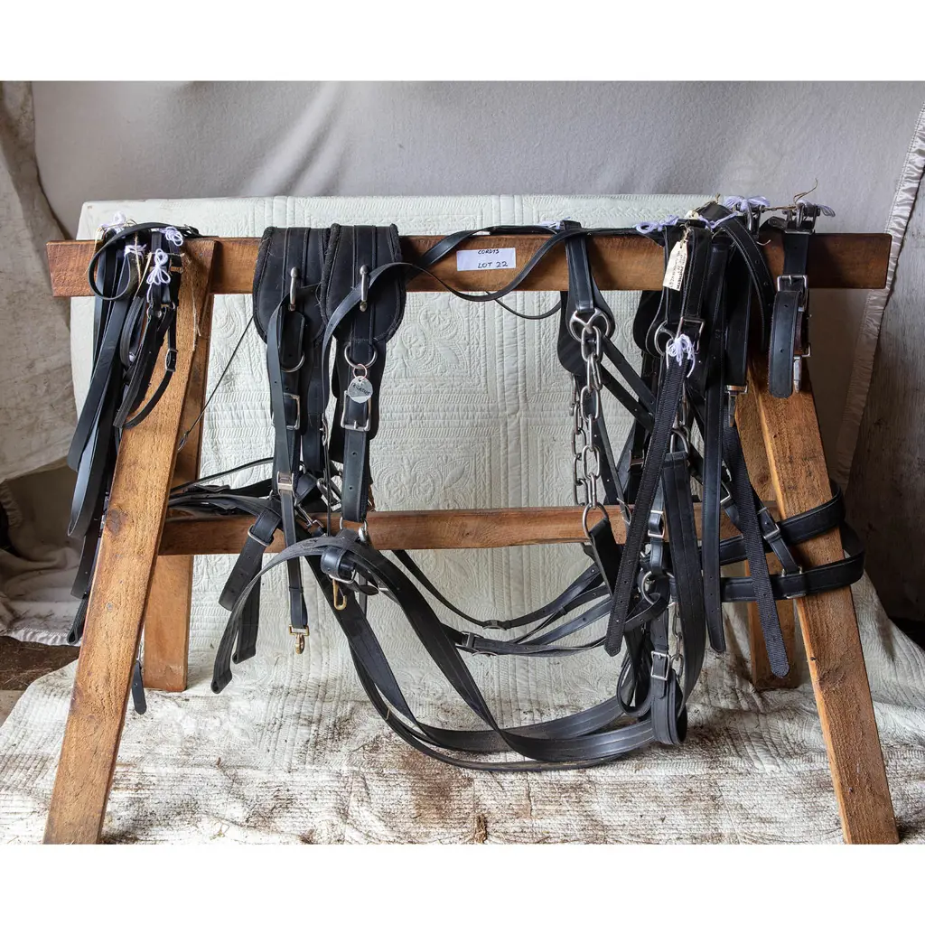 Two pairs synthetic Amish harness, Image 1++