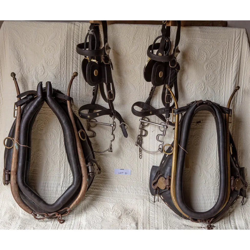 Pair leather Amish harness, Image 1++