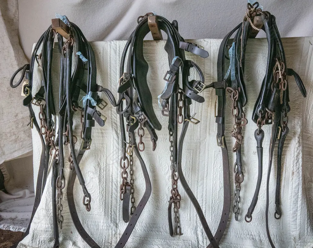 Three Quick release traces, Image 1++