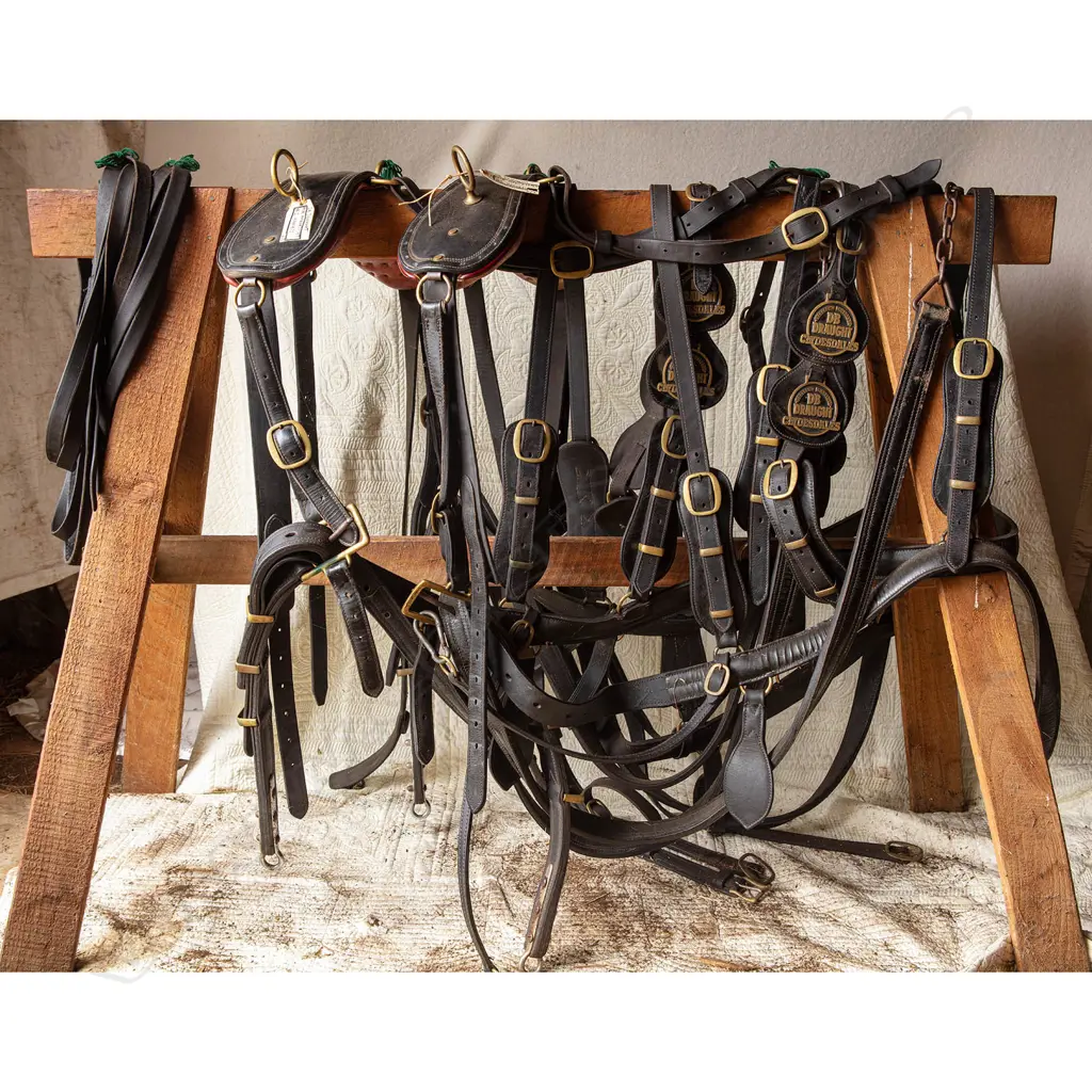Pair complete set of DB Brewery Harness, Image 1++