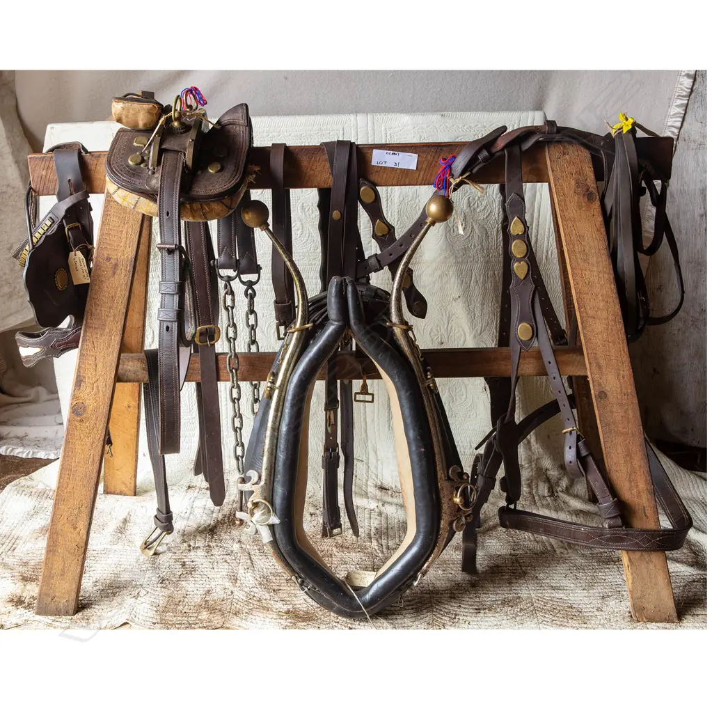Brown leather working harness, Image 1++