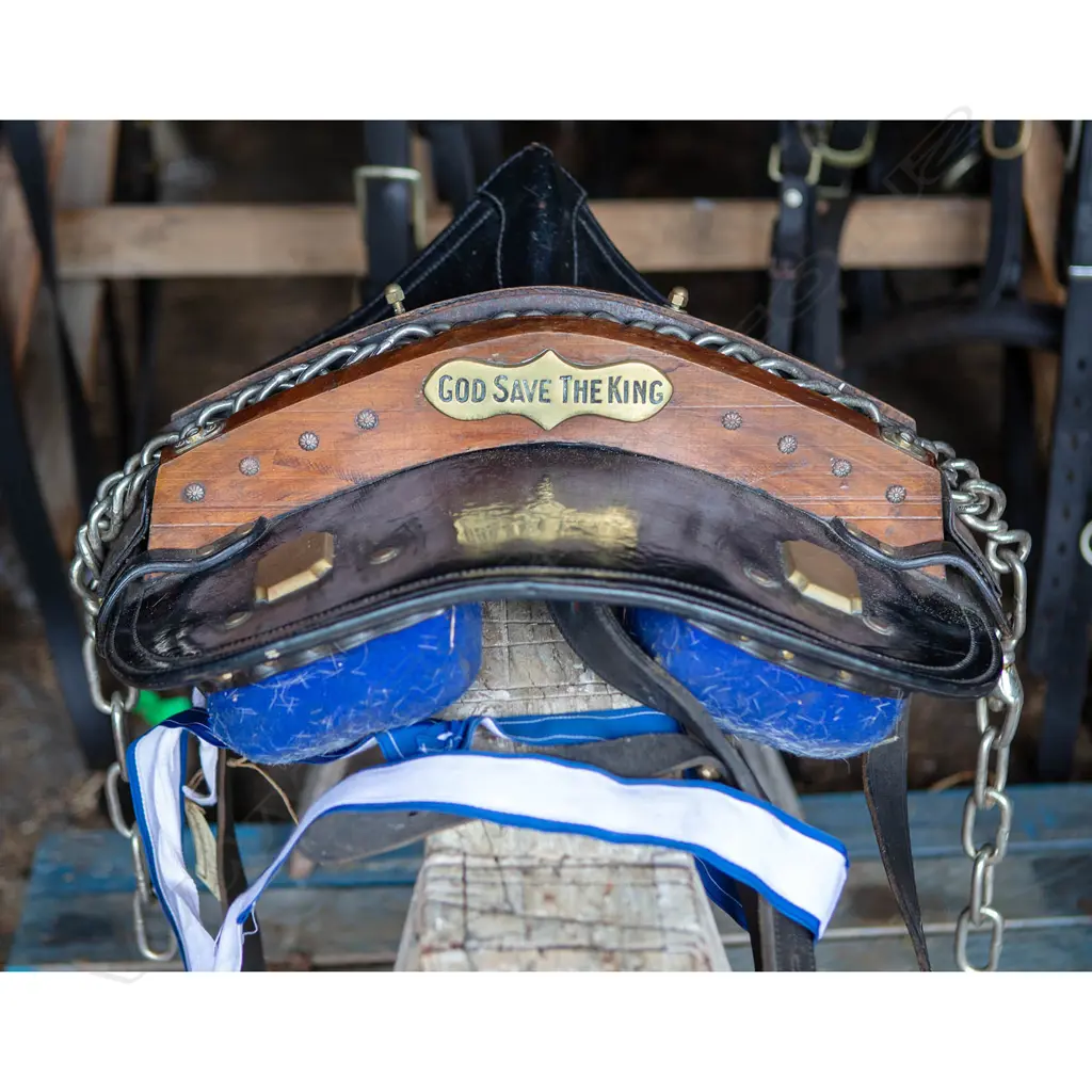 Charles and Diana 'God save the King!' wedding harness, Image 1++