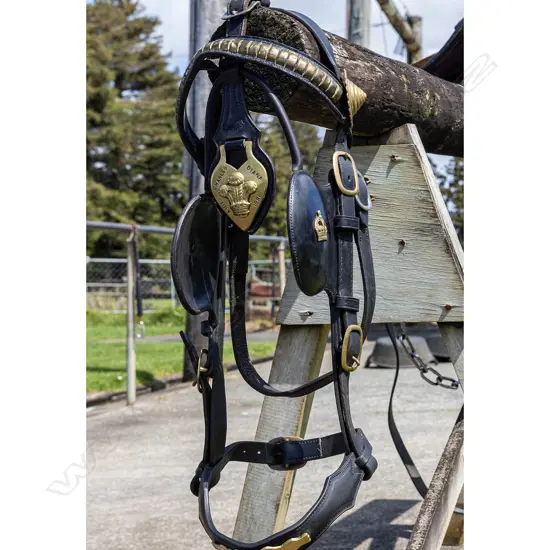 Charles and Diana 'God save the King!' wedding harness,