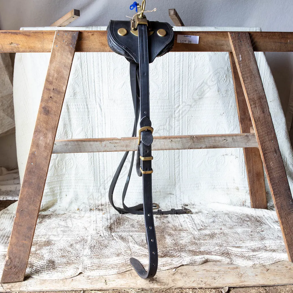 Light harness, Image 1++