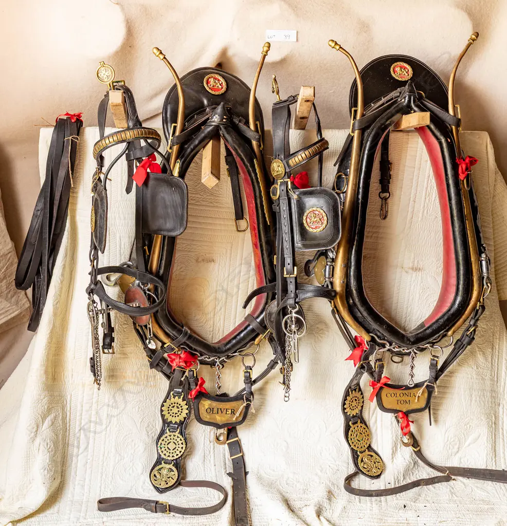 Two full pair sets of original Lion Brewery harness for two horses, Image 1++