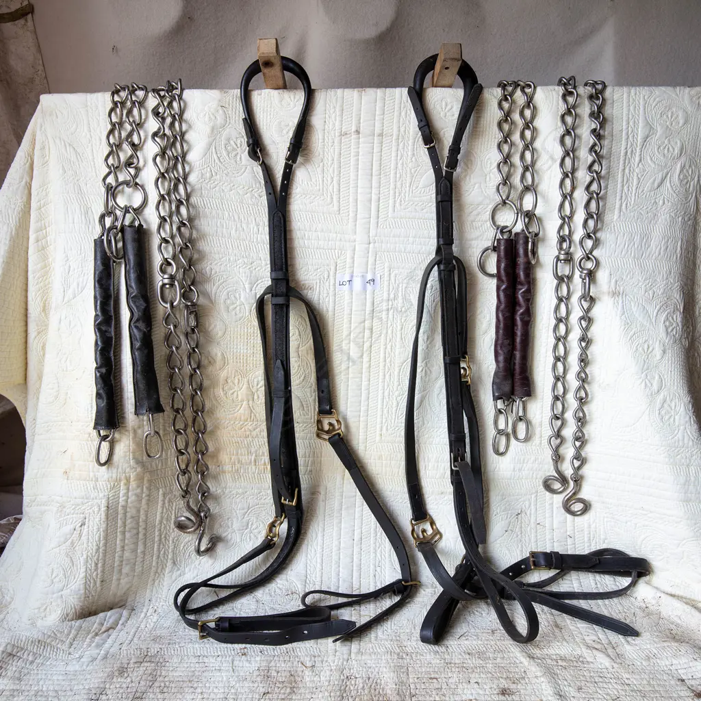 Two Lion Brewery chains and cruppers, Image 1++