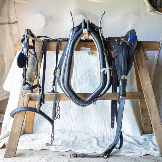 Single set leather cart harness,