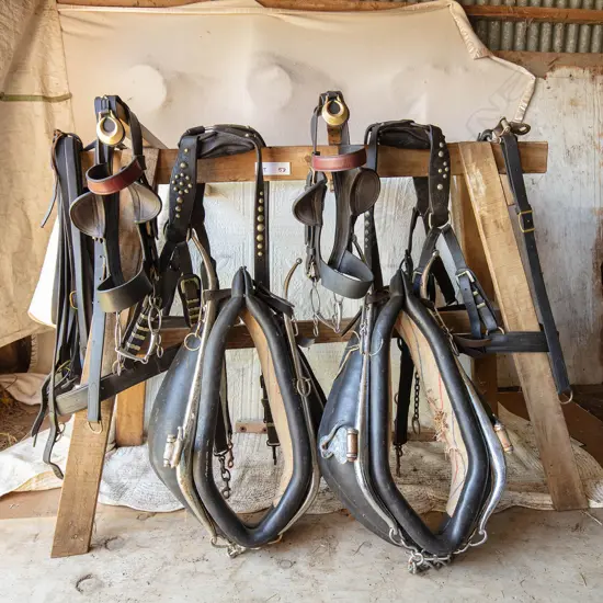 Pair plough harness,