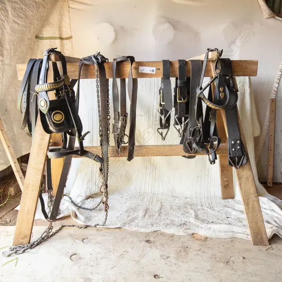 Pair plough harness,