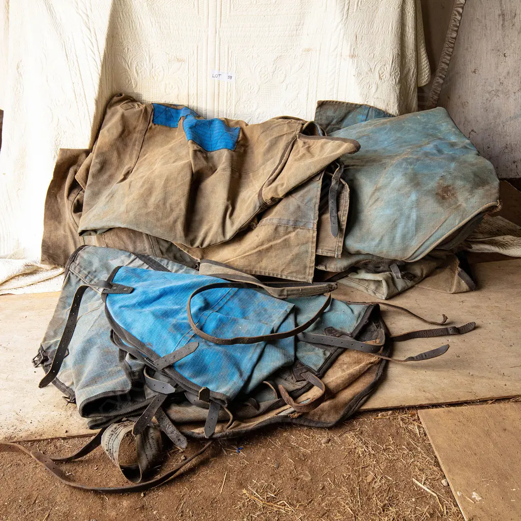 Six Clydesdale size jute lined canvas rugs + three necks to match Image 1++